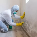mold-remediation by Home Comfort Group