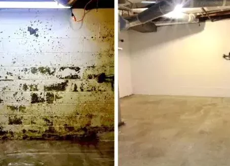 mold-remediation-before-after