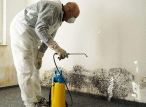 Mold Remediation Services by Home Comfort Group