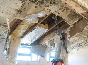 Mold Remediation Services by Home Comfort Group