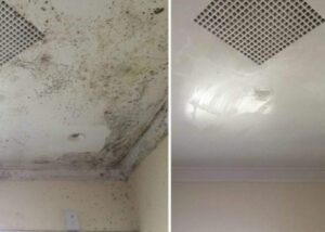 Mold Remediation before and after by Home Comfort Group