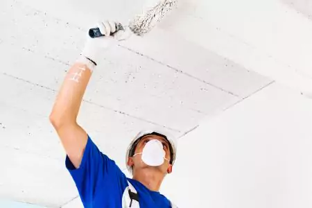 Painting <br/> Services