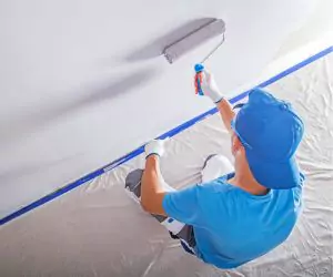 Painting<br/> Services