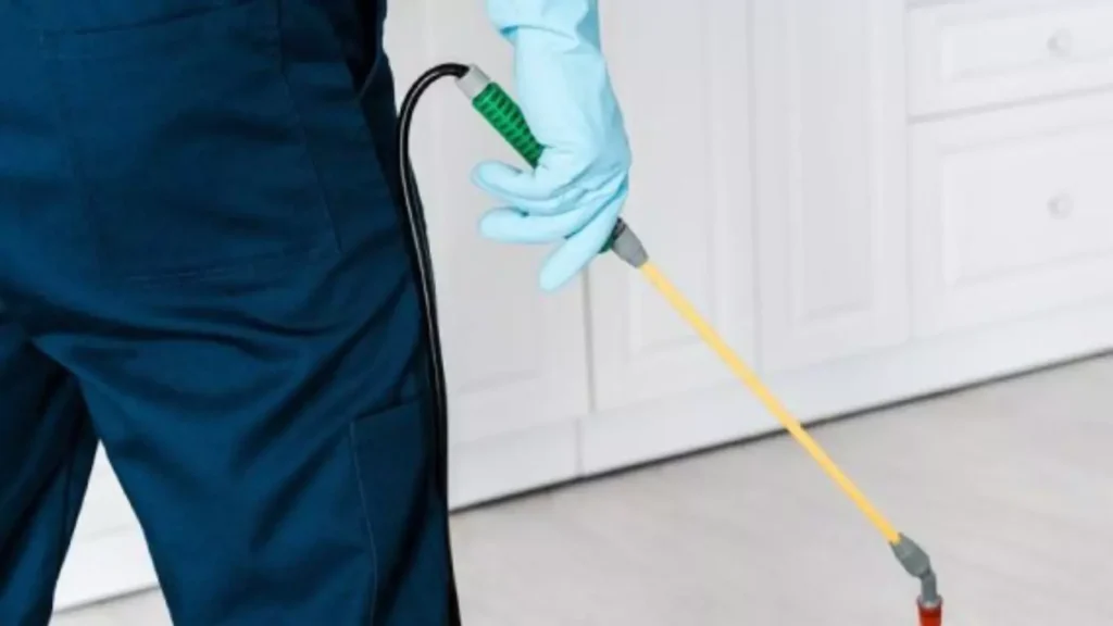 Pest Control Services by Home Comfort Technical Services