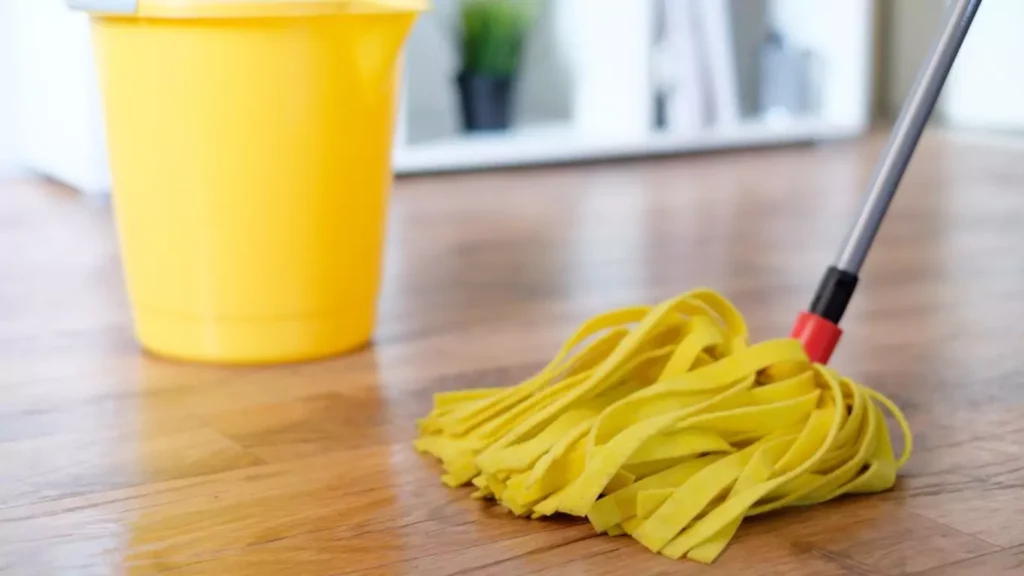 Deep Cleaning Services